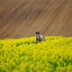 Psycholog: Funkcja, Asysta i Wsparcie w Trudnych Momentach